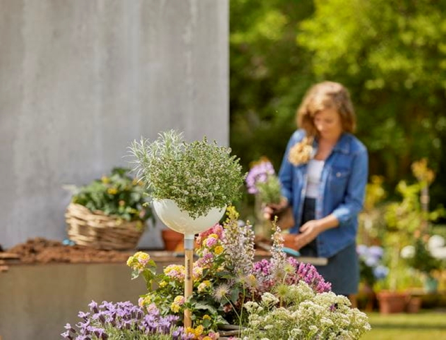 CLICKUP! BLOMSTERSKÅL 