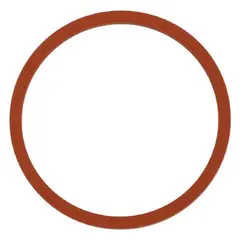 O-RING INNSUG