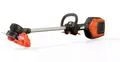 Gresstrimmer, leke
