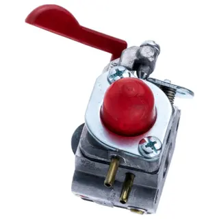 Forgasser Zama  C1U-W24