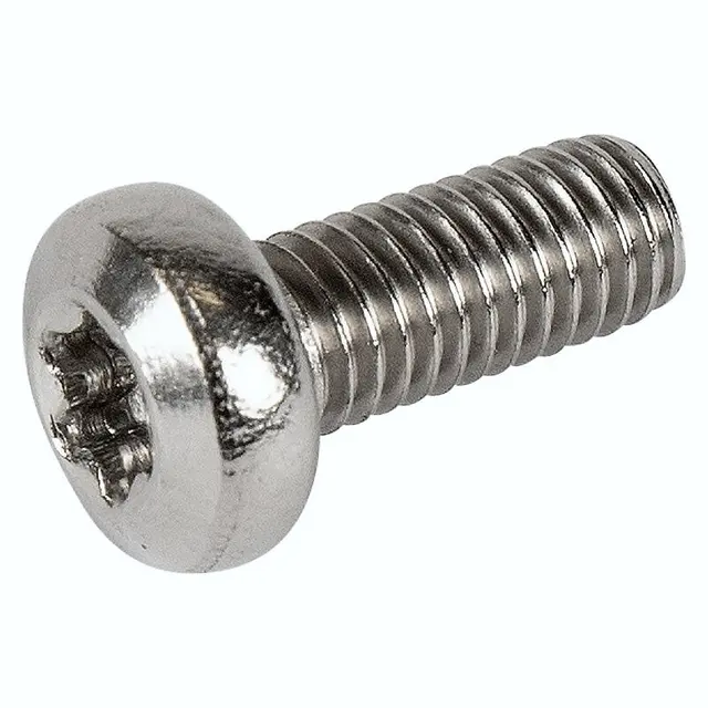 SKRUE ISO 14583 M5X12 T25 A2-7 