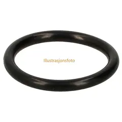 O-RING, 14.67X1.78