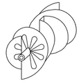 IMPELLER