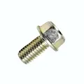 Bolt  8X16