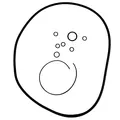 O-RING SET