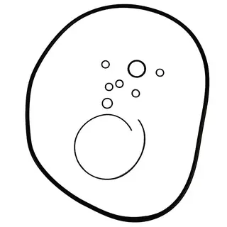 O-RING SET